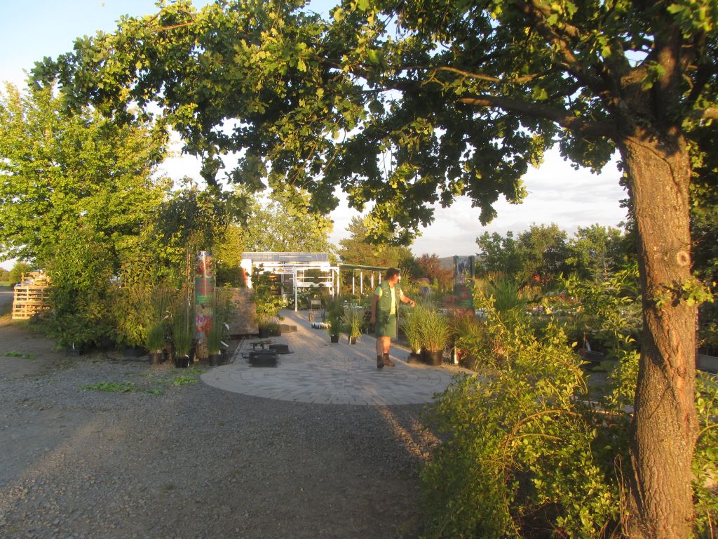 Ritthalers Grüne Insel – Blick auf das Verkaufsgelände