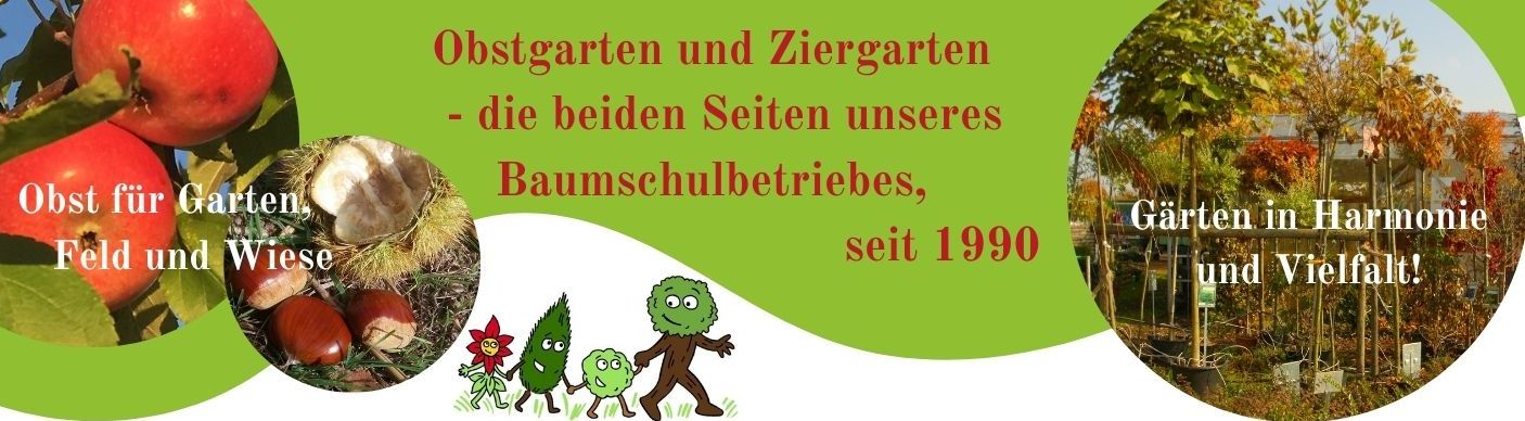 Obstgarten und Ziergarten  - die beiden Seiten  unseres Baumschulbetriebes,   seit 1990!