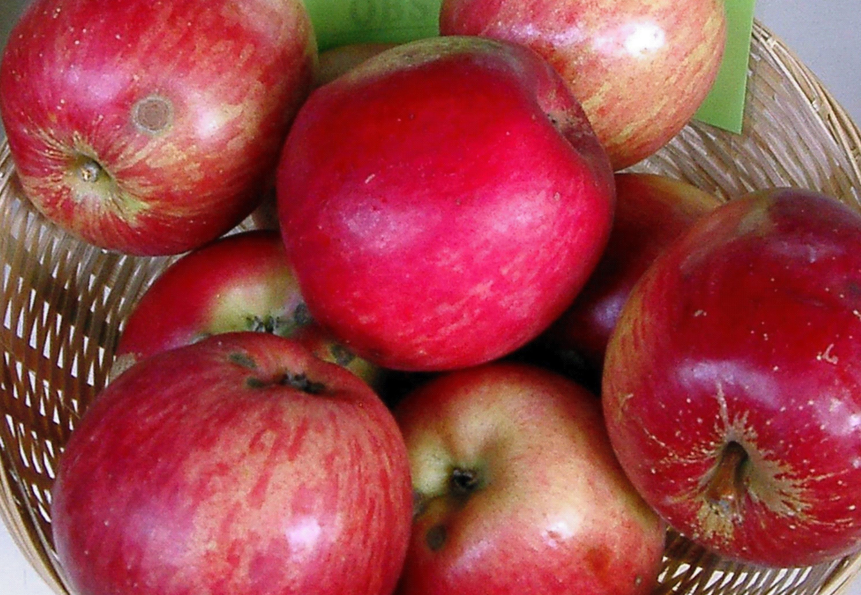 Äpfel - regionale