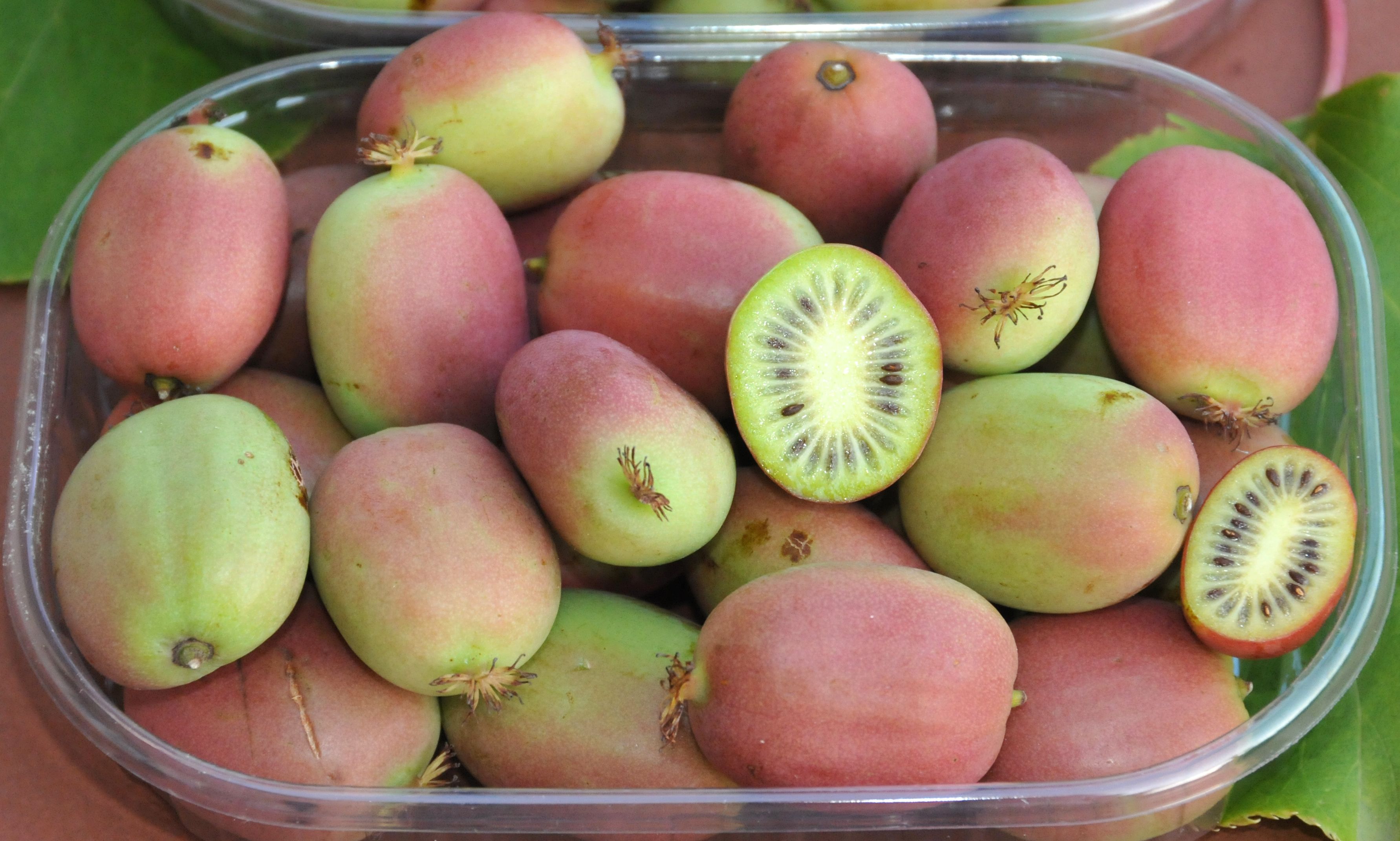 besonderes Obst