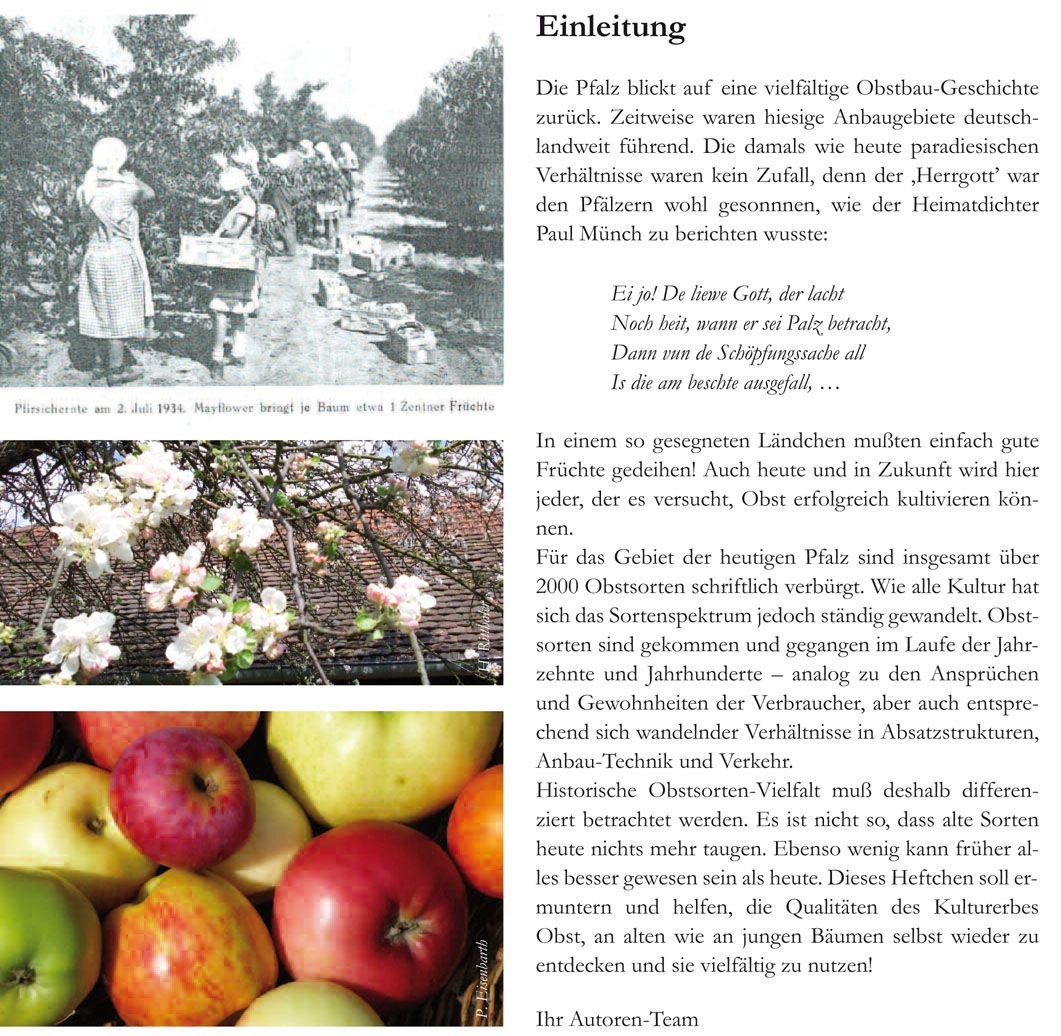 Pfälzer Obstkultur