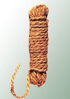 Kokos-Baumbindeschnur