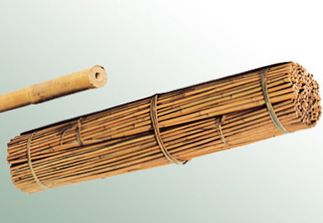 Bambustab (Tonkinstab)