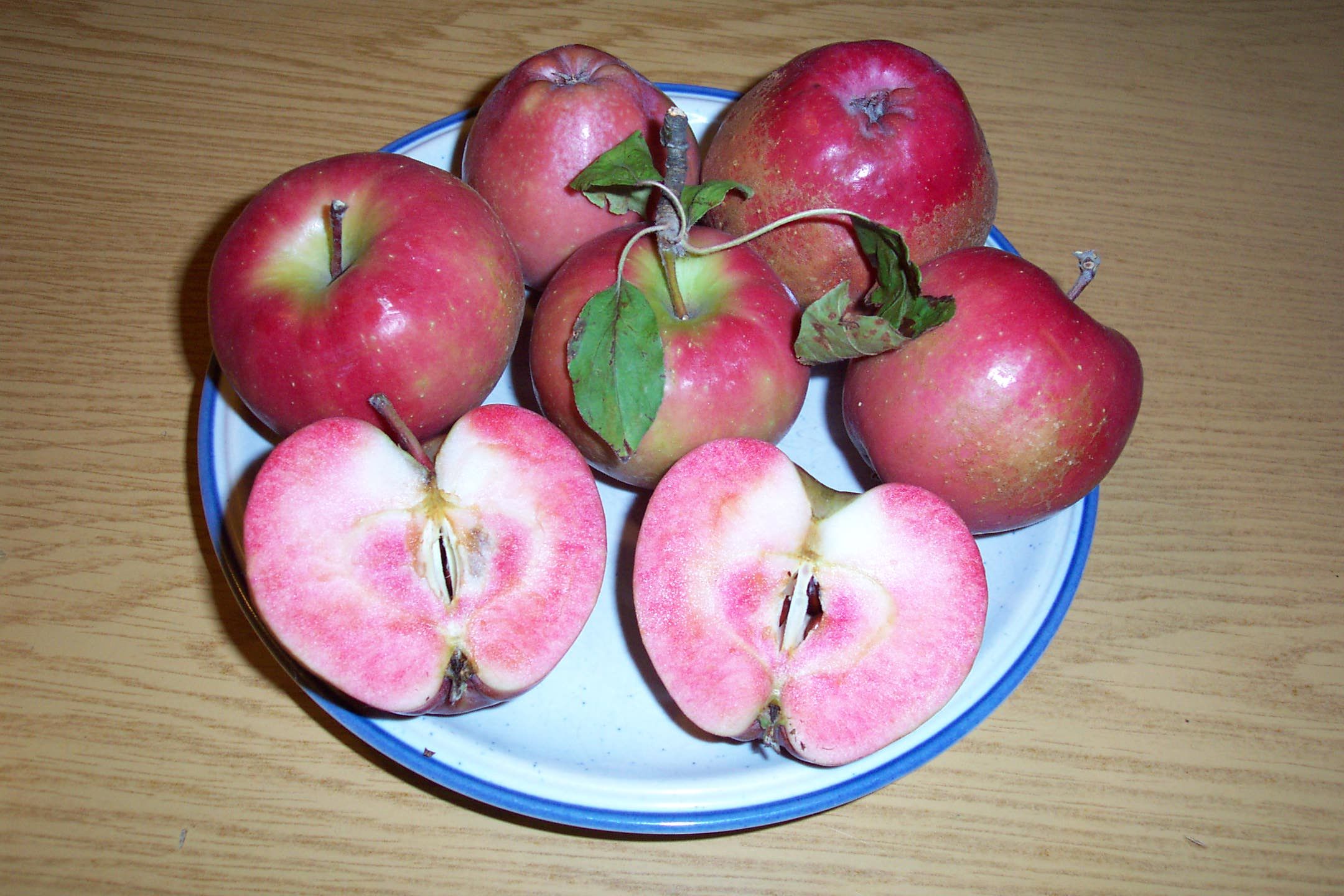 Malus 'Roter Alatau-Apfel'  *   CAC