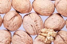 Juglans regia 'Parisienne'             CAC