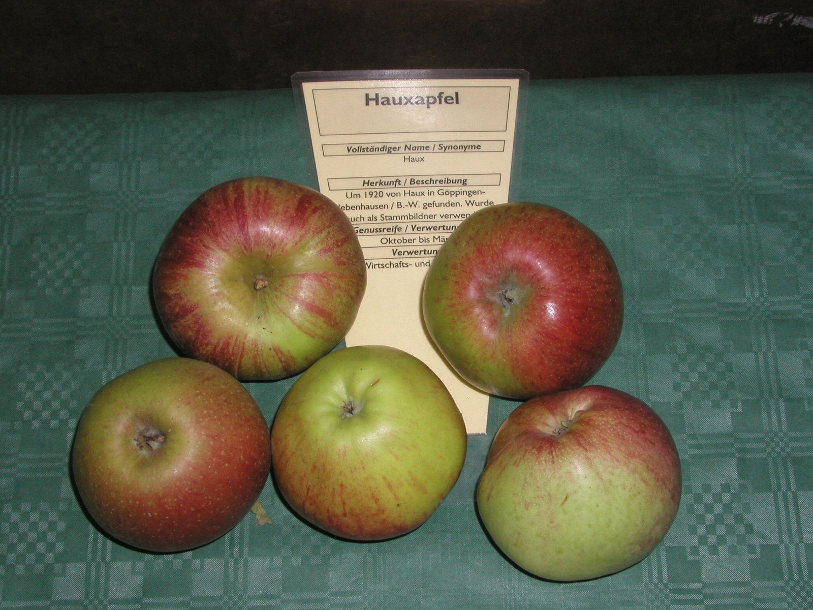 Malus 'Hauxapfel'                      CAC