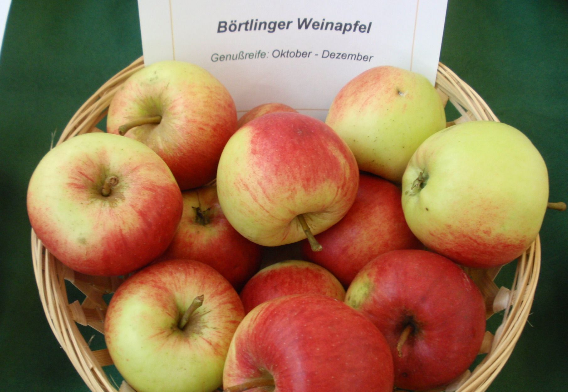 Malus 'Börtlinger Weinapfel'           CAC