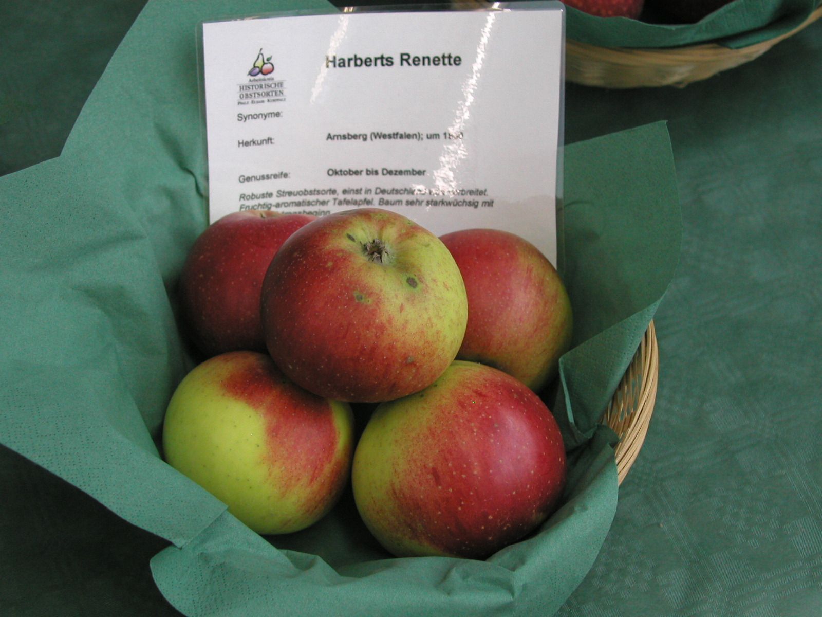 Malus 'Harberts Renette'               CAC
